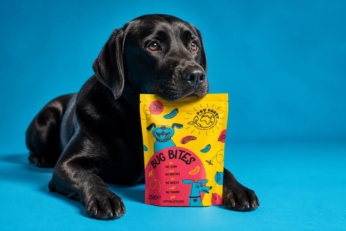 Pet Earth Sustainable Dog Treat Packaging Design