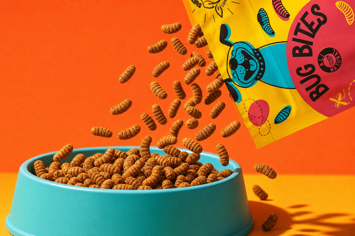 Pet Earth Sustainable Dog Treat Packaging Design