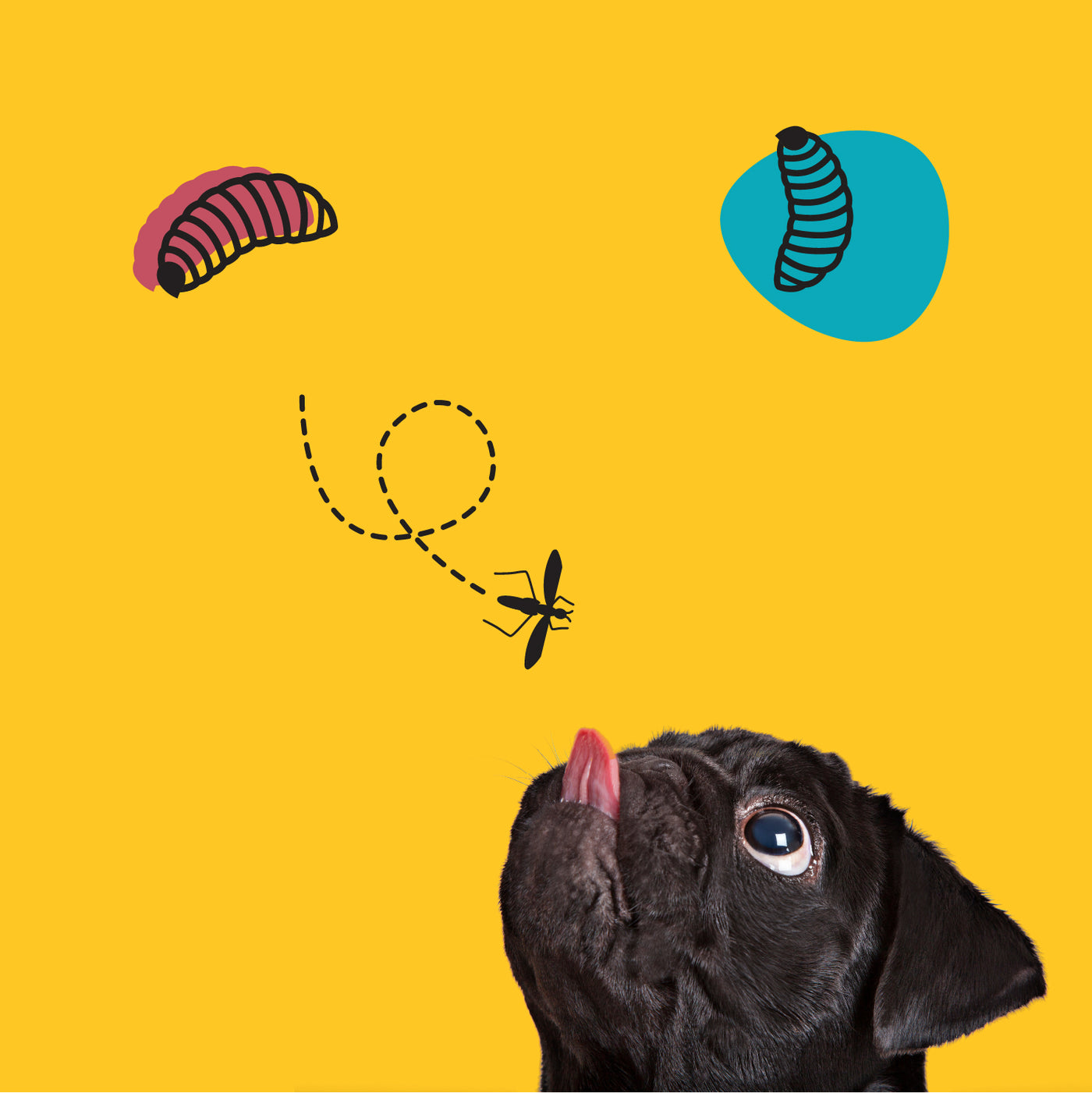 Pet Earth - Pet Food Branding image 3 by Y Not Tony Design Studio