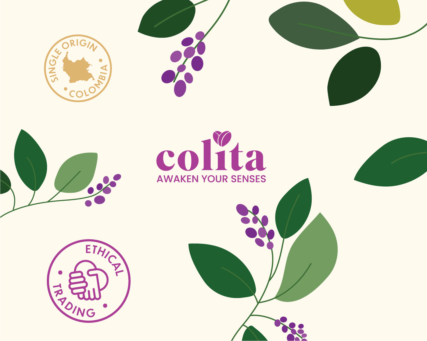Colita Coffee - Stand Up Pouch Design image 4 by Y Not Tony Design Studio