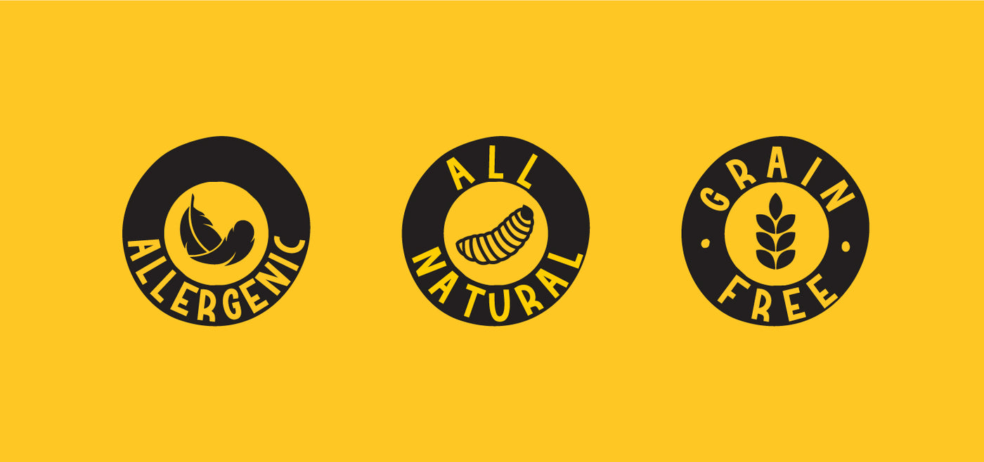 Pet Earth - Pet Food Branding image 4 by Y Not Tony Design Studio