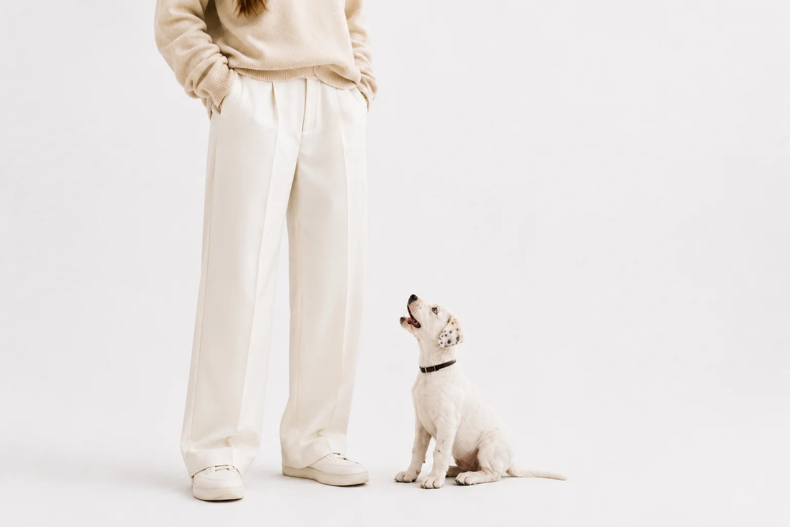 Pupply Premium Puppy Food Packaging Design
