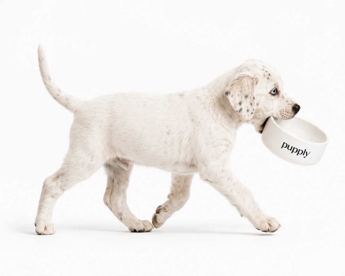 Pupply Premium Puppy Food Packaging Design