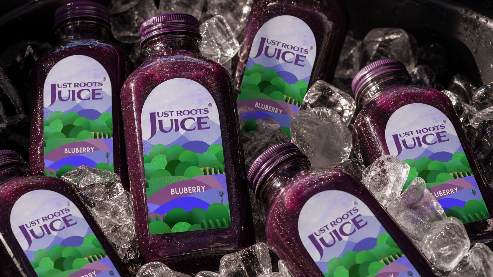 Just Roots Juice Blueberry Juice Label & Bottle Design