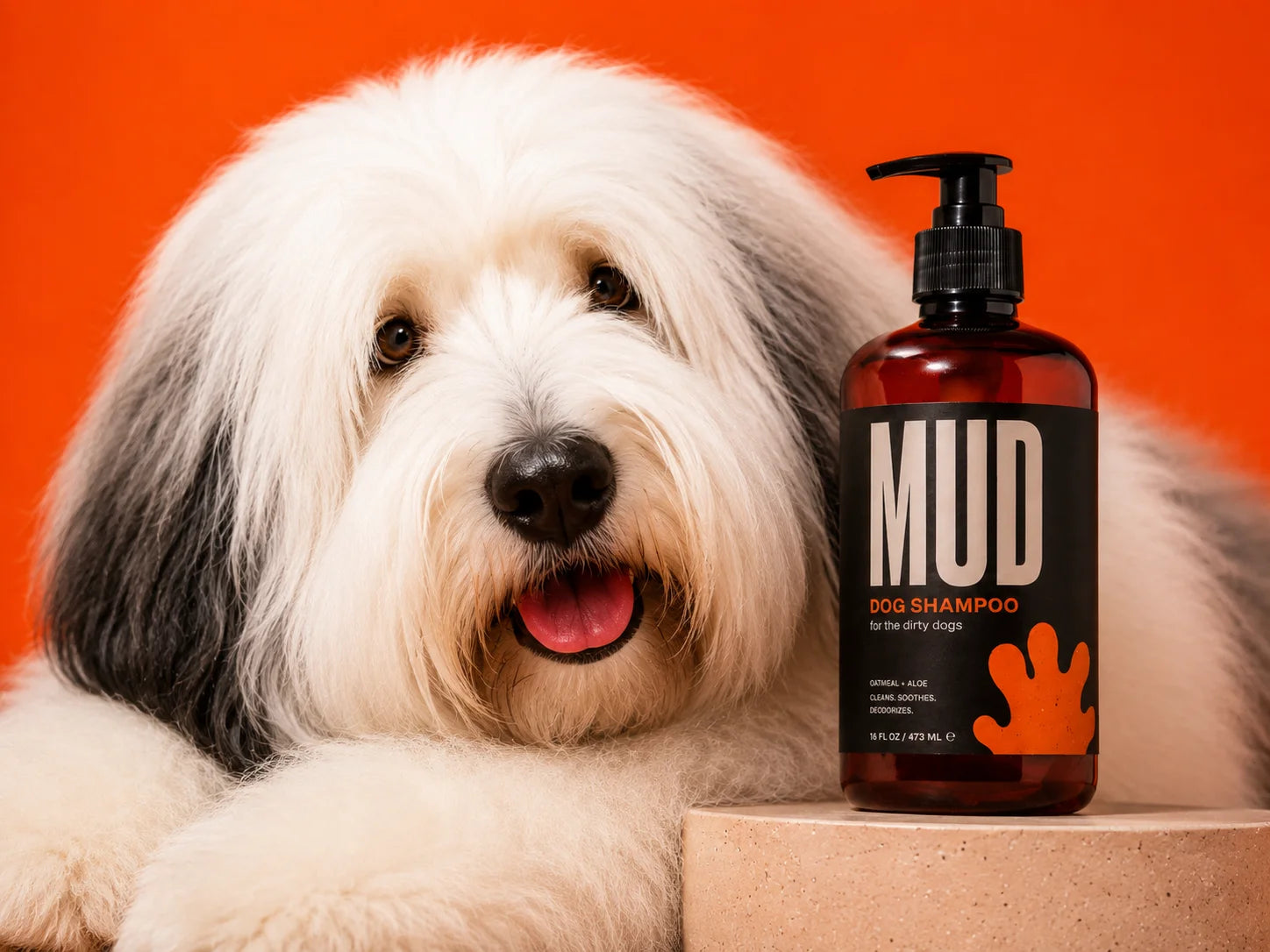 Close portrait of a clean shaggy dog beside MUD dog shampoo