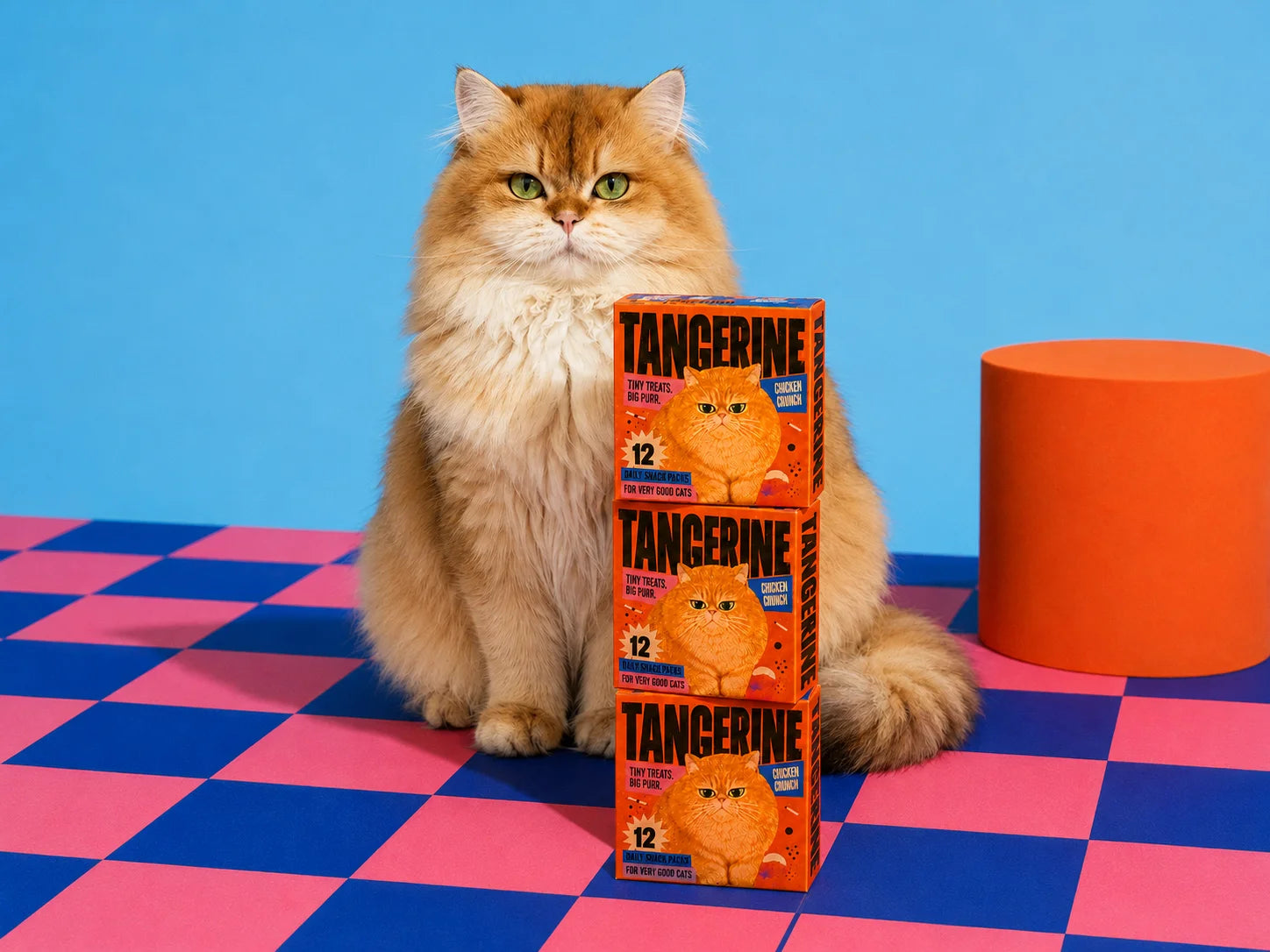 Tangerine cat treat boxes displayed with a ginger cat in a colourful blue and pink studio scene